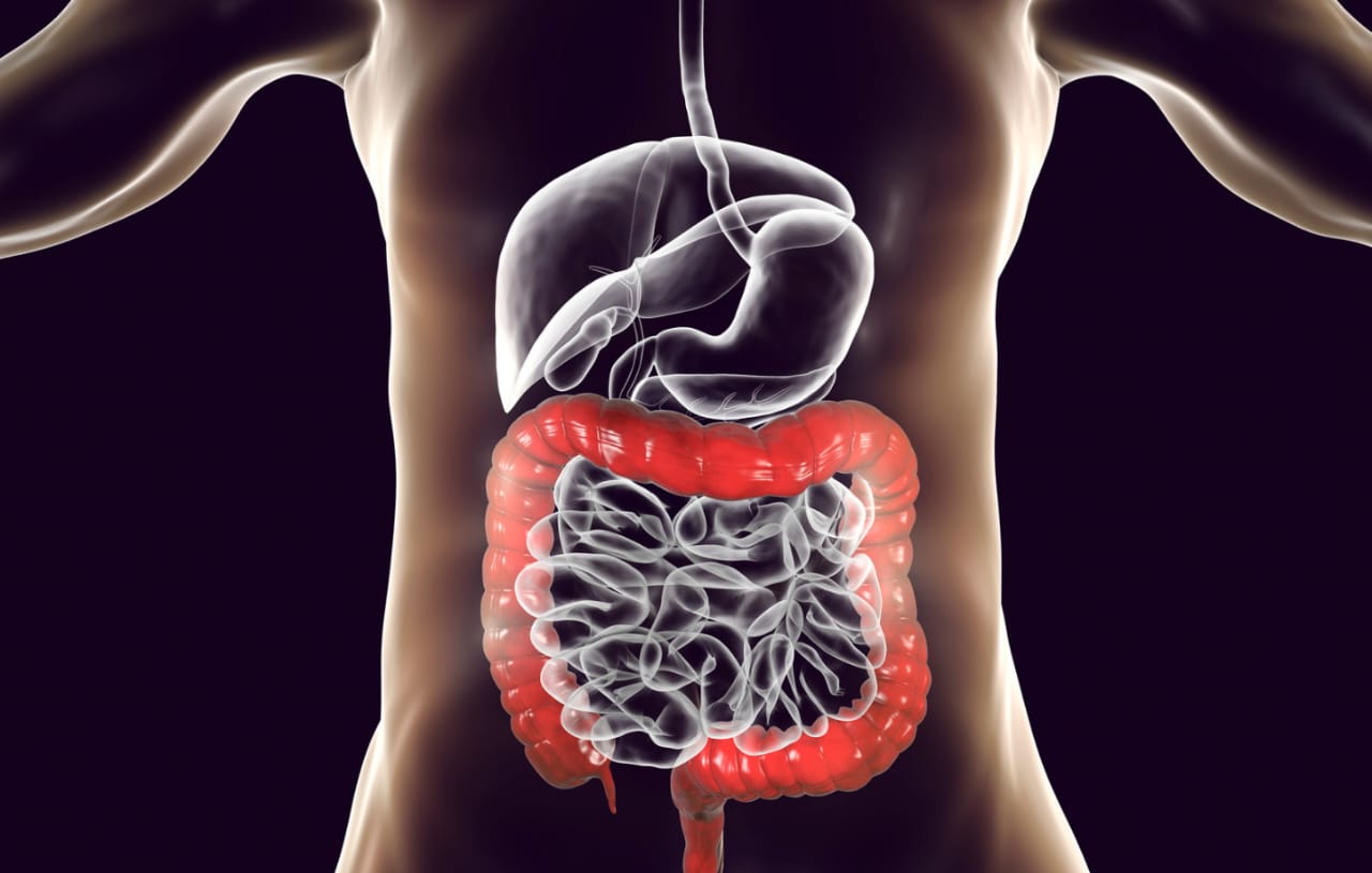 Diagnostic Upper GI